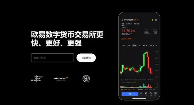 欧交易所 app正版入口系统展示图
